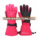 Winter Warm Sports Waterpoof Anti-Slip Snowboard Skiing Glove